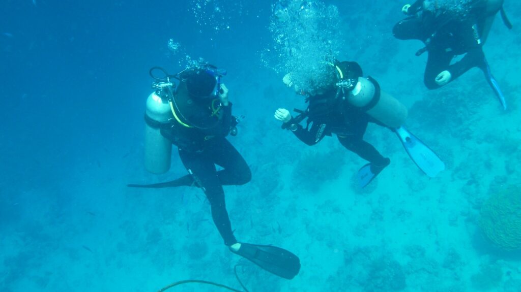 diver, dive, underwater-223414.jpg