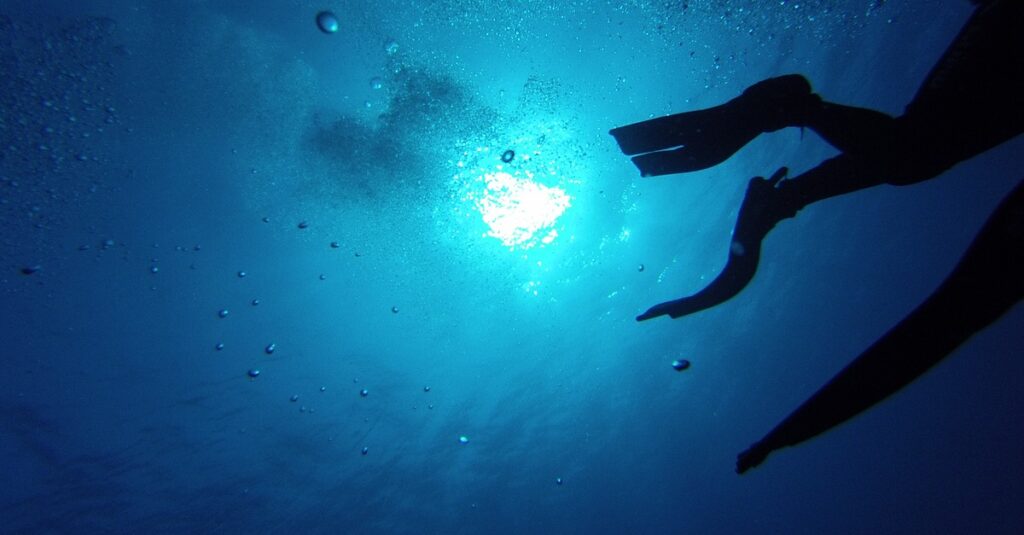 dive, diving fins, swim-786792.jpg