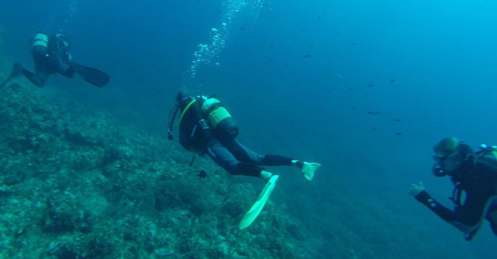 diver, diving, sea-752664.jpg