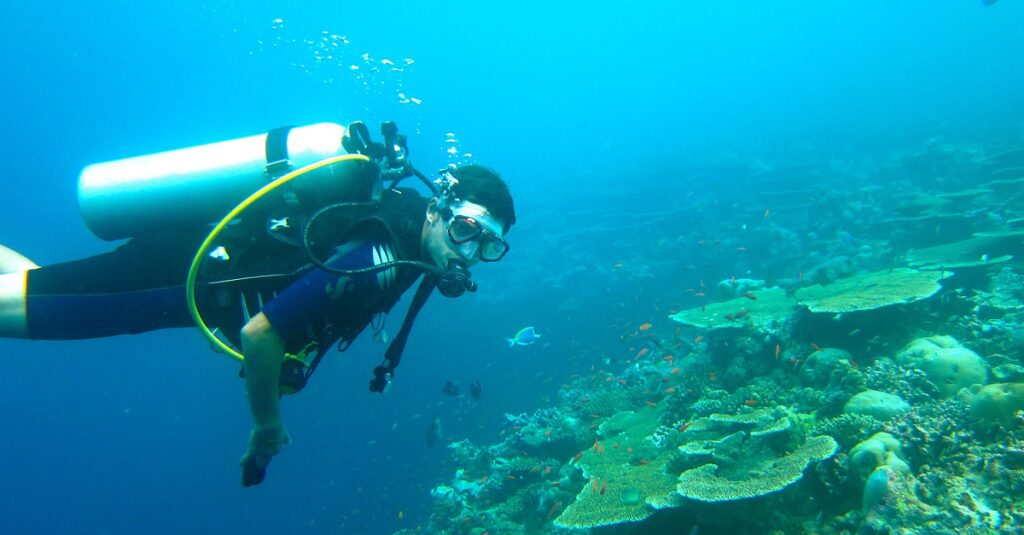 diving, maldives, sea-261585.jpg