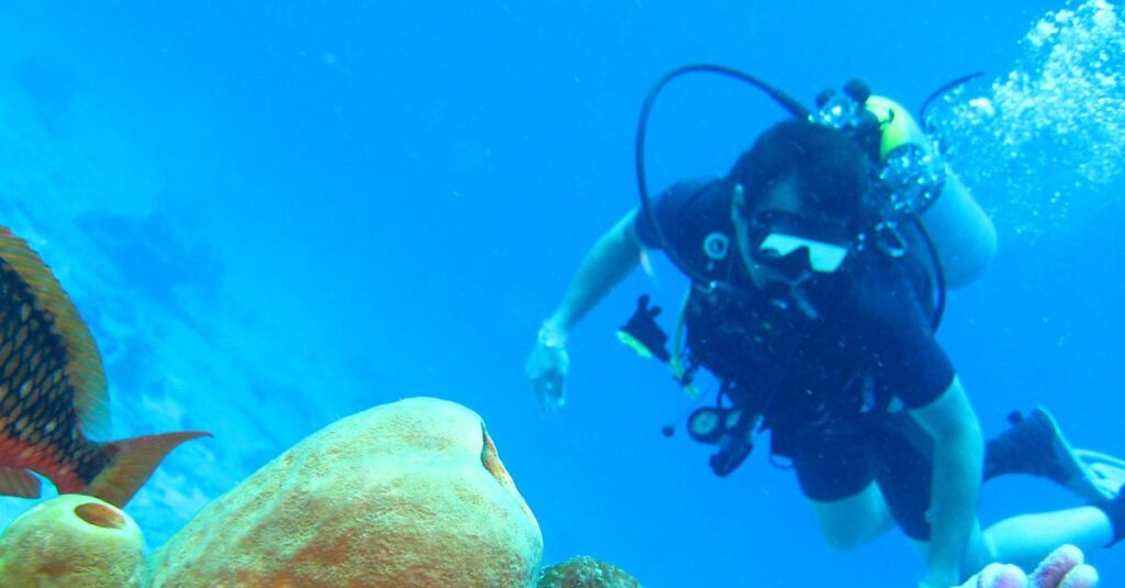 diving, ocean, coral-1707761.jpg