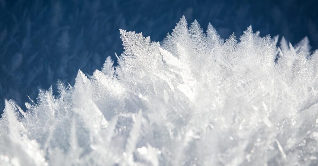 ice, cold, snowflakes-1997289.jpg